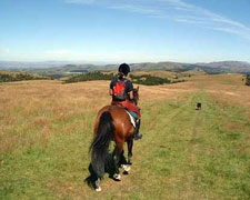 New Zealand-South Island-Alpine Pacific Triangle Ride